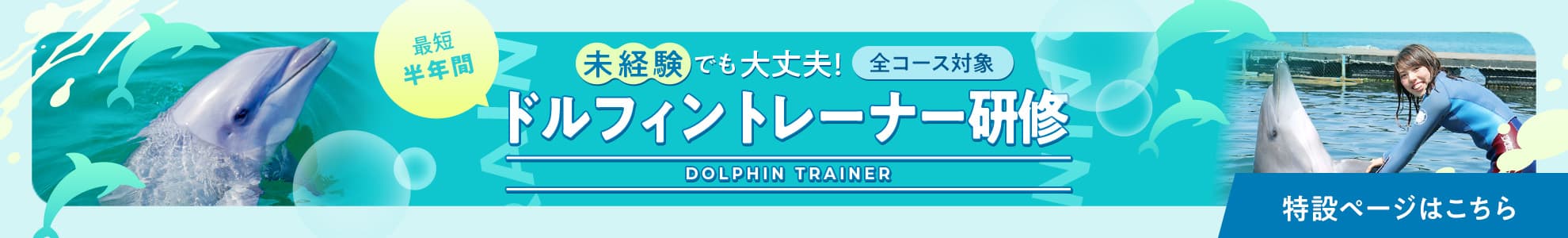ドルフィントレーナー研修 特設ページはこちら