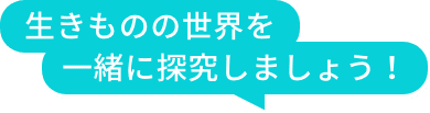 生きものの世界を一緒に探求しましょう!