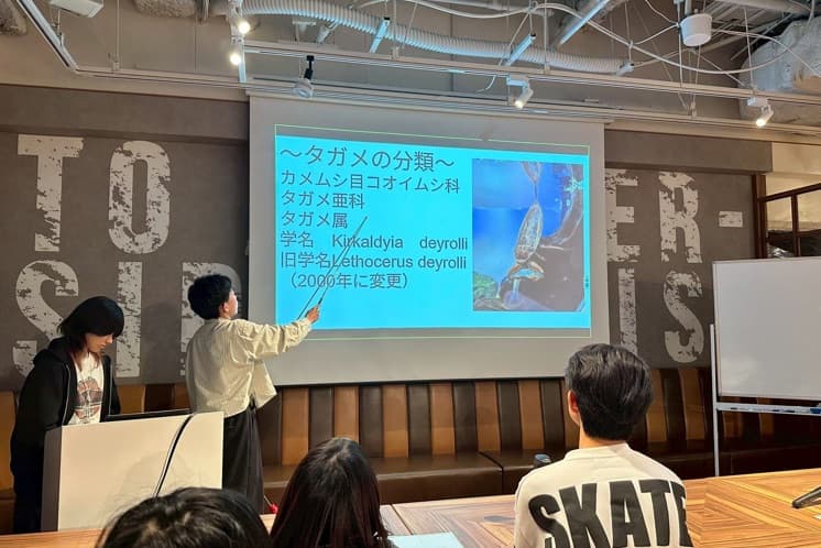 水生昆虫部