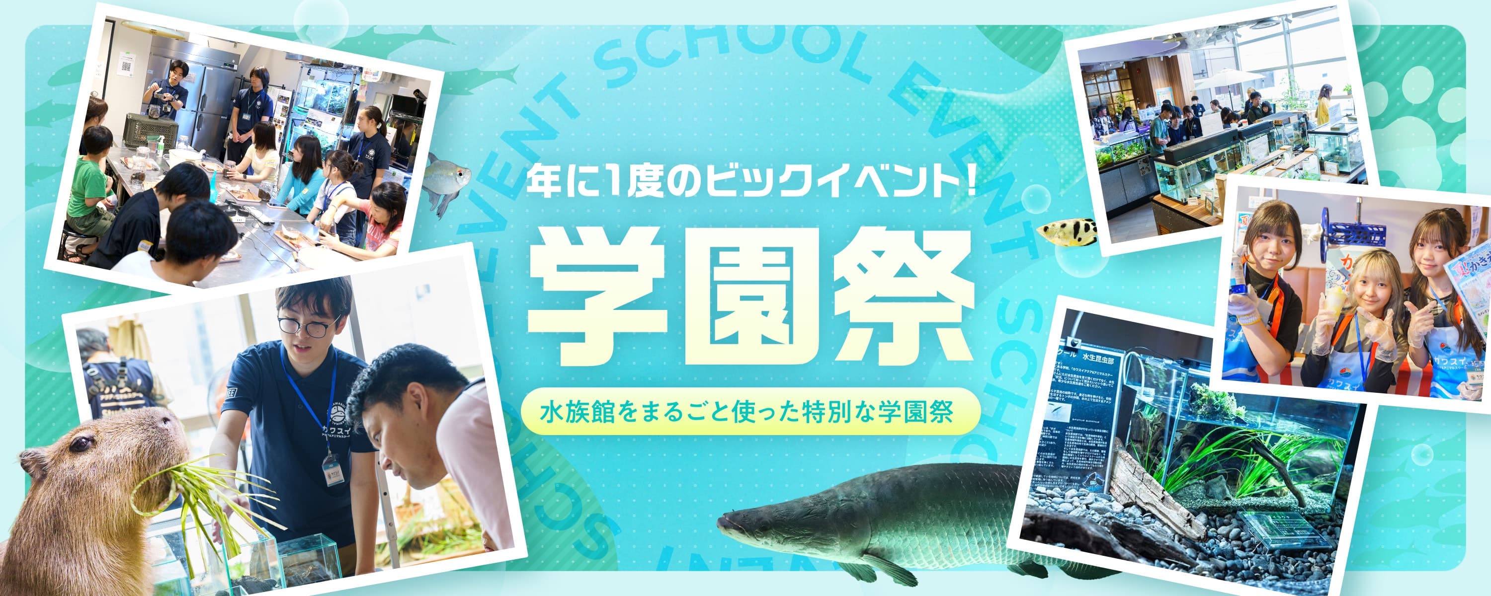 年に1度のビッグイベント！学園祭 水族館をまるごと使った特別な学園祭
