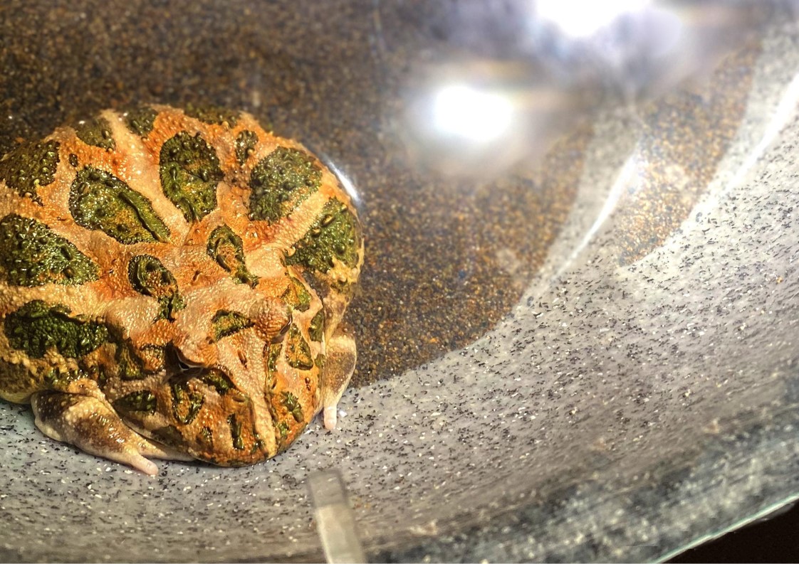 61d7bd3c0edd7ea0487170fd41ce43