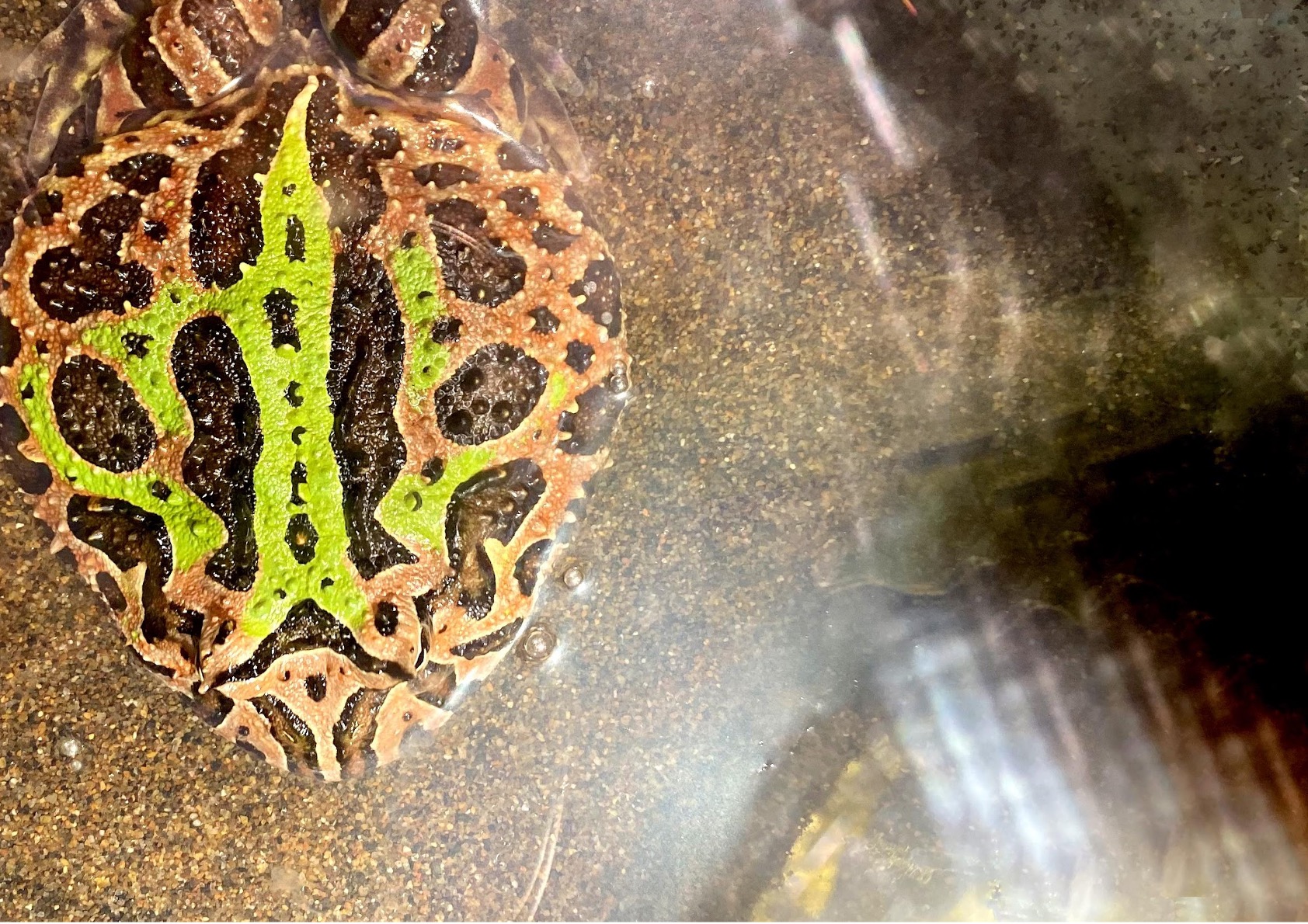 795316b92fc766b0181f6fef074f03