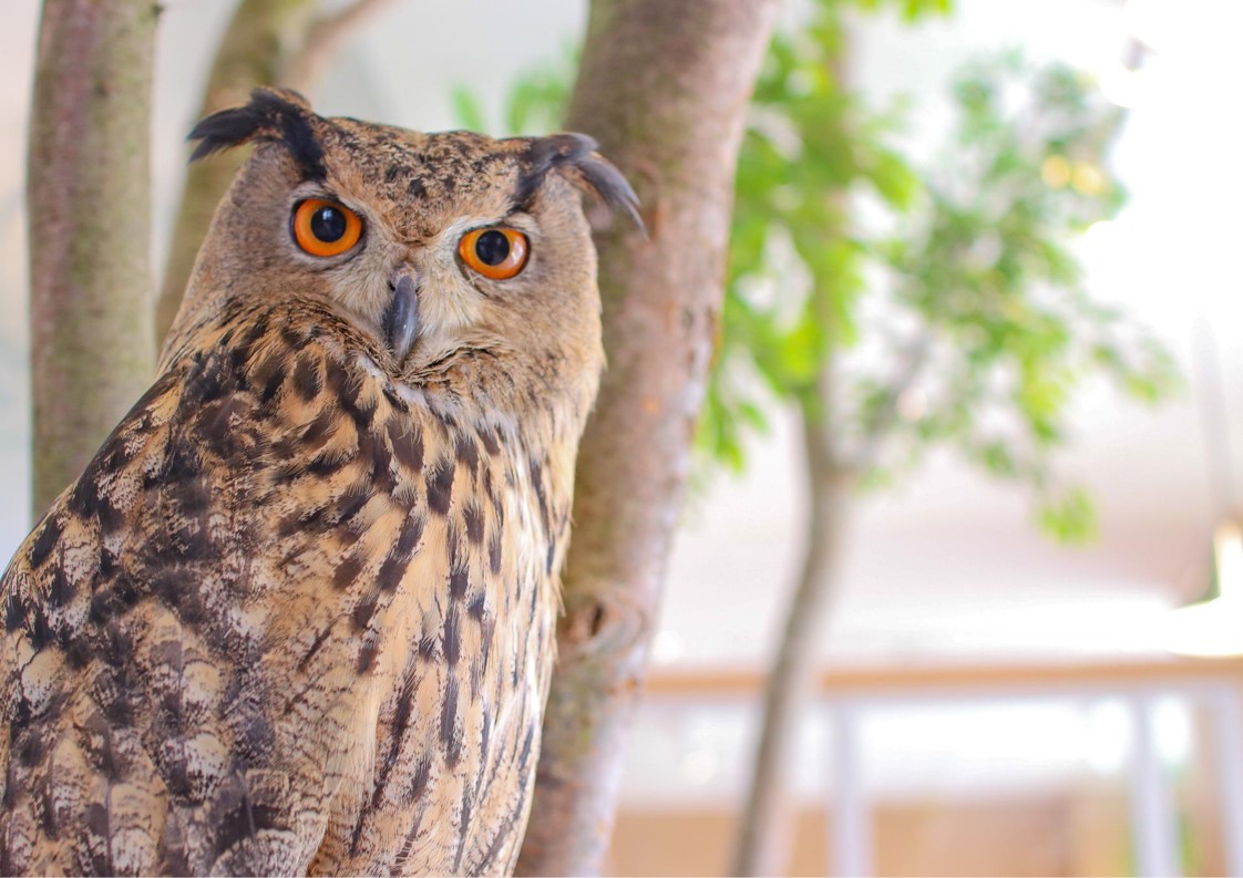 7fa069e50cd2f1f7982404ce91a64c