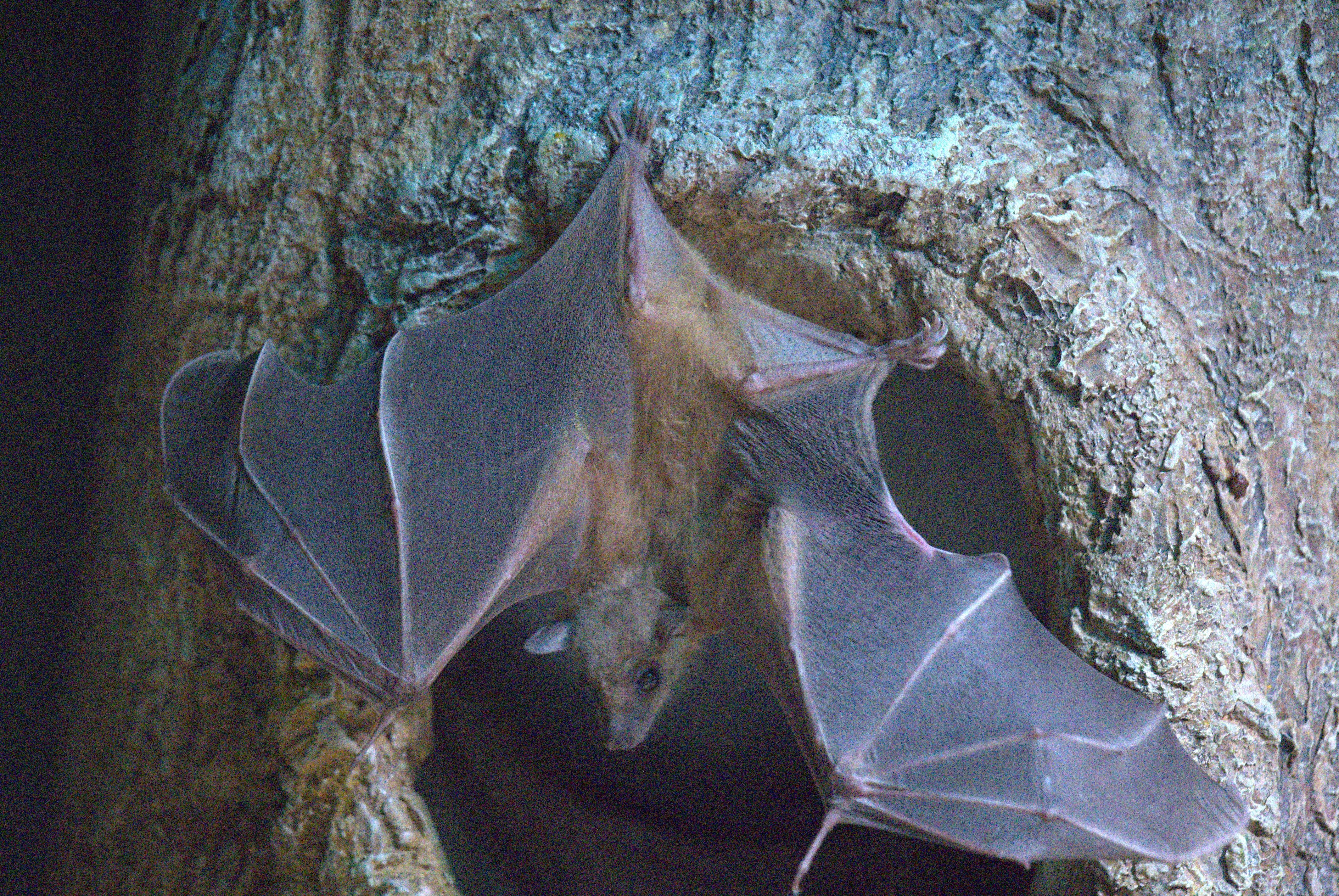 2631838f947347627ada50a8e76b13