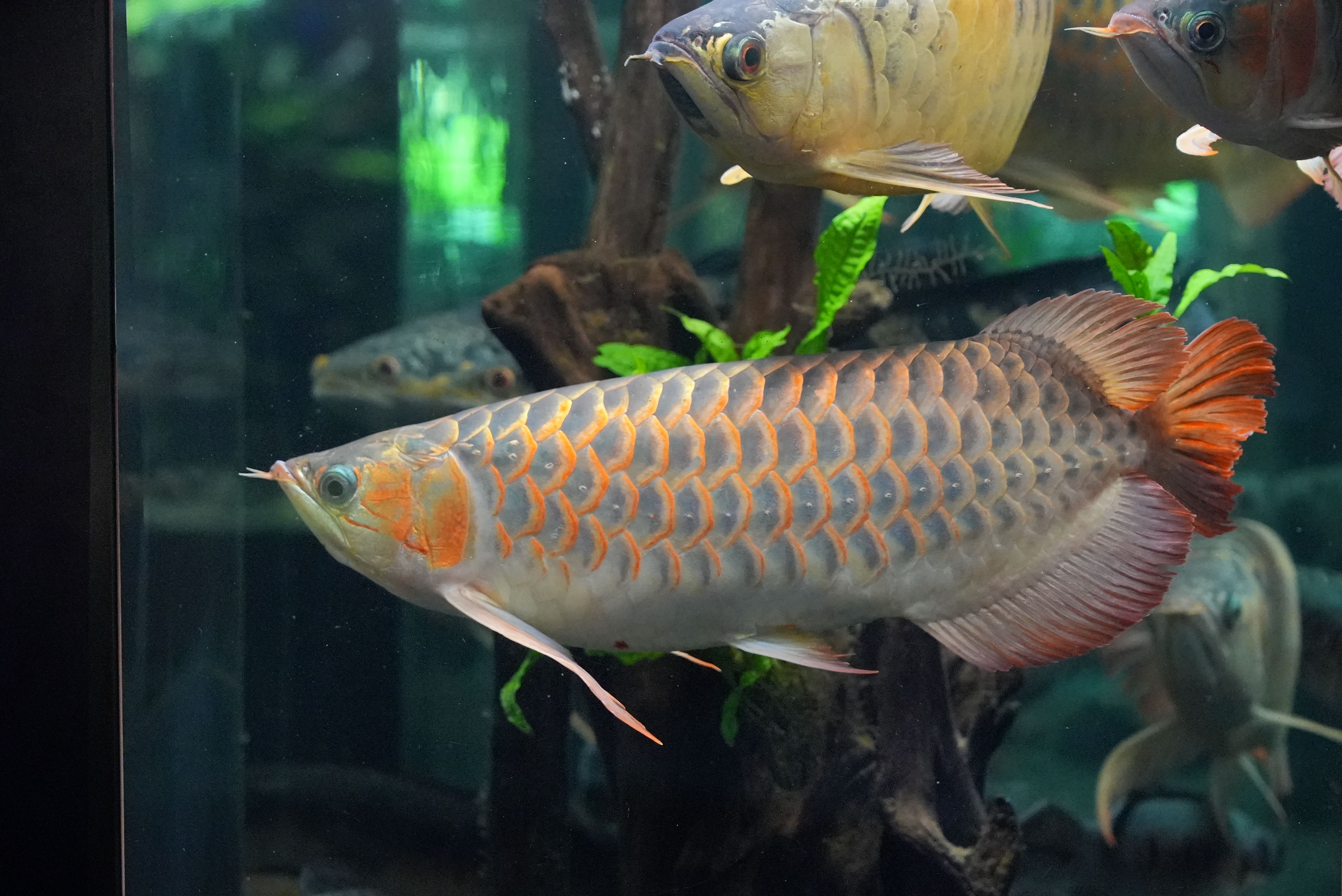 bdff5c8b41d9324d0bc2f1a541d76a