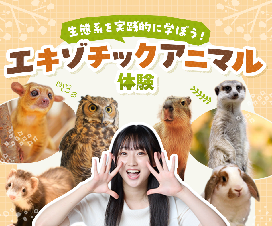 エキゾチックアニマル体験 | イベント・オープンキャンパス｜カワスイ