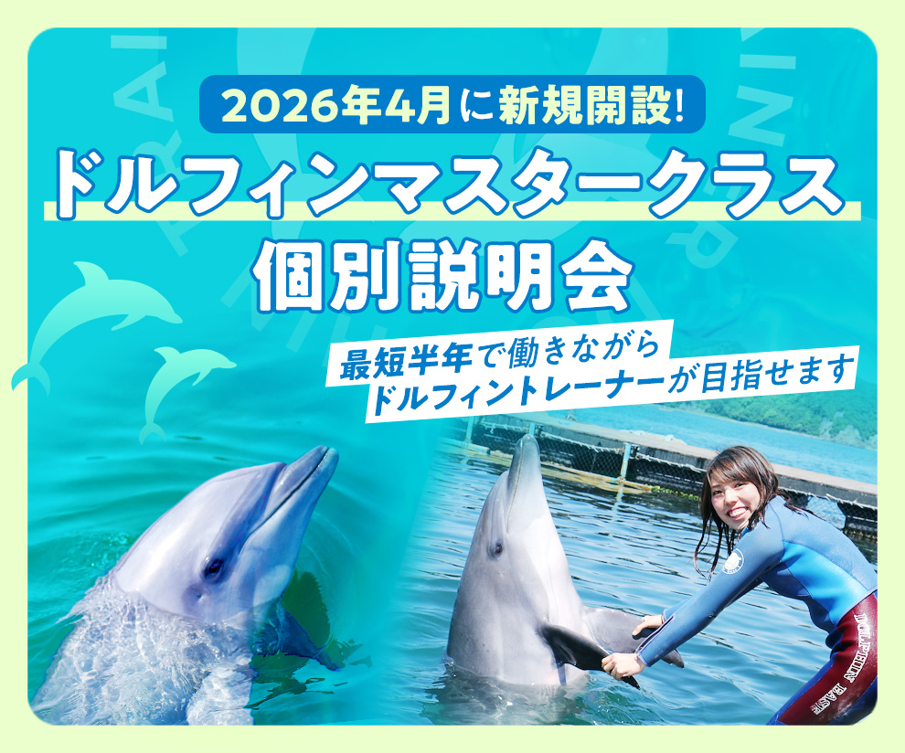 ドルフィンマスタークラス 個別説明会 | イベント・オープンキャンパス