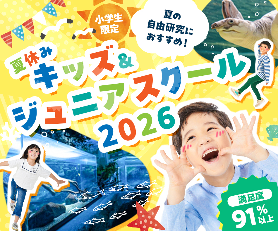 夏休みキッズ&ジュニアスクール2026 | イベント・オープンキャンパス