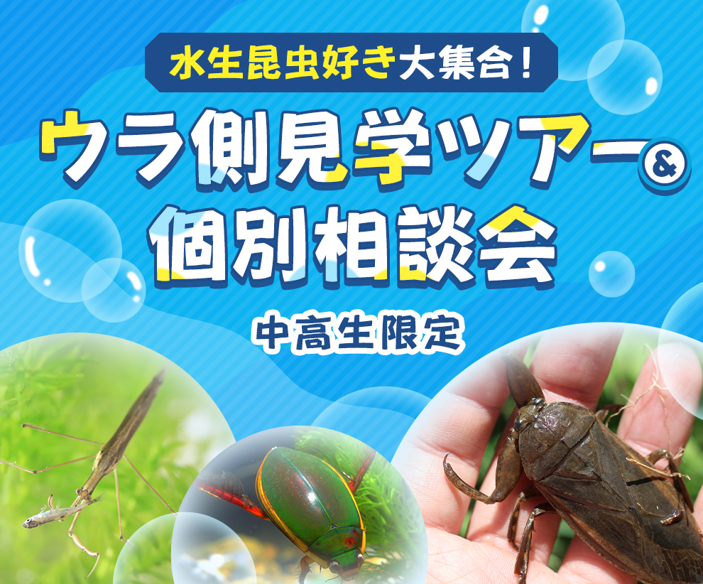 水生昆虫好き大集合！裏側探検ツアー＆個別相談会 | イベント